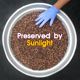 Manathakkali Vathal (Sun-Dried Black Nightshade Berries) 50g
